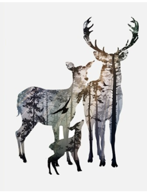 Seinapilt ˙Loomad metsas˙ – pastelne poster (A4)