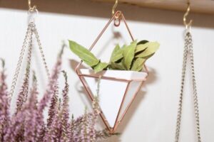 Taimehoidja seinale ˙Püramiid˙