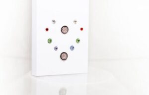 Kõrvarõngad kingituseks