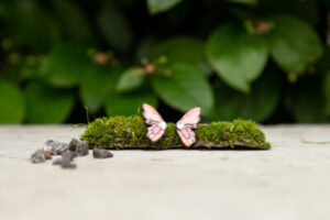 Kõrvarõngad ˙Liblika tiivad˙ – roosa, puidust (19×11 mm)