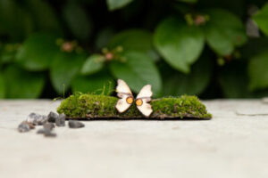 Kõrvarõngad ˙Liblika tiivad˙ – beež, kristall, puidust (19×11 mm)