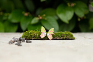 Kõrvarõngad ˙Liblika tiivad˙ - rohekas-roosa, kristalliga, puidust (19x11mm)