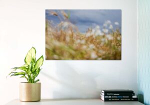 Rukkipõllul enne tormi