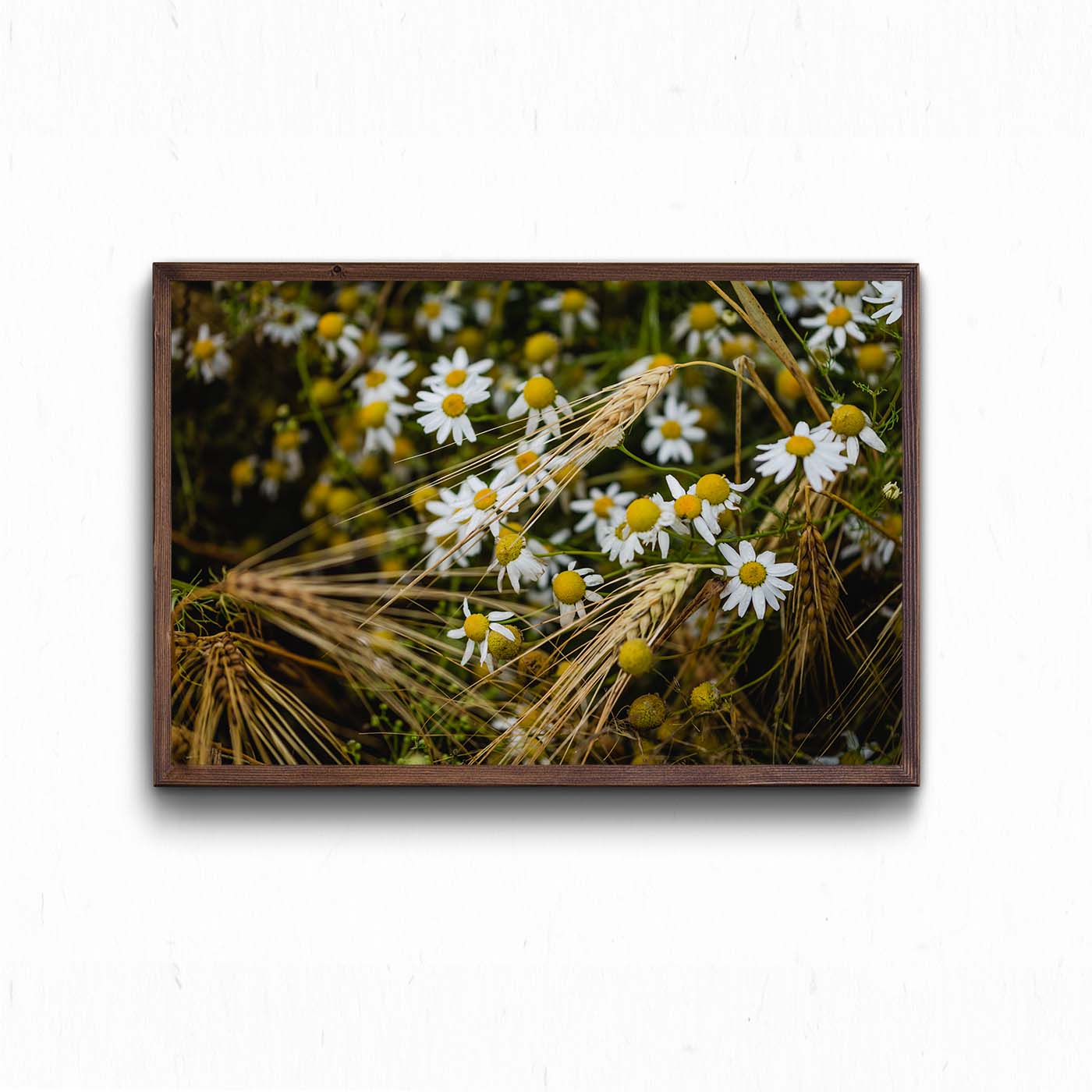 Summer vibes_3_print_horizontal