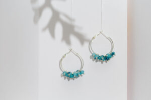 Kõrvarõngad kristallideg