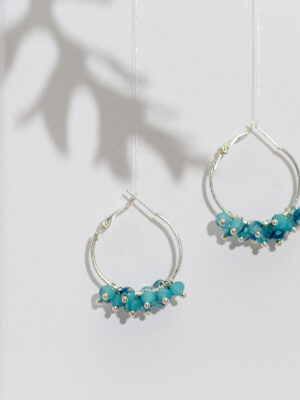 Kõrvarõngad kristallideg